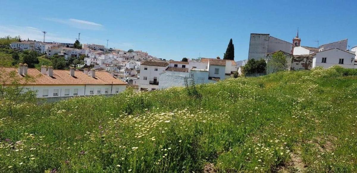 Działka na sprzedaż w Cortes de la Frontera, Malaga photo 1
