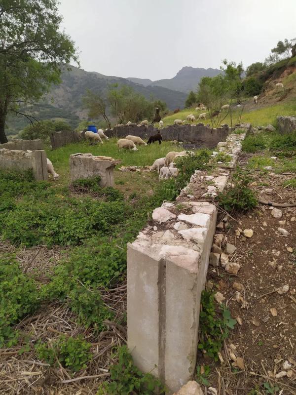 Terreno en venta en Benaojan, Malaga photo 1