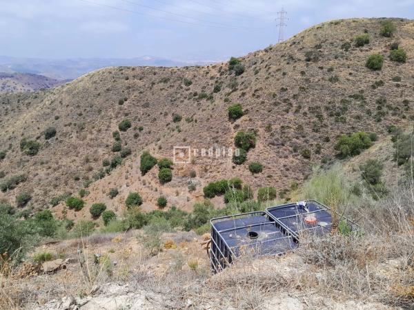 Terreno en camino Real de la Torre photo 4