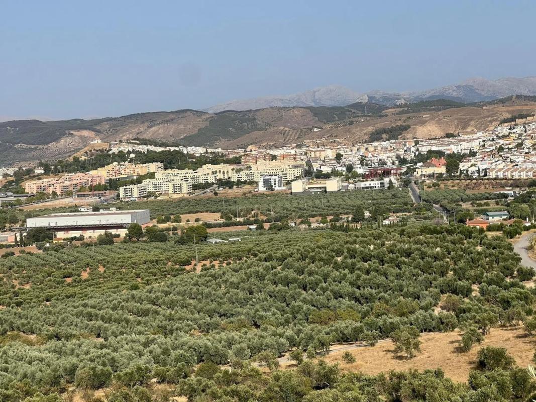 Terreno en venta en Antequera, Malaga photo 1