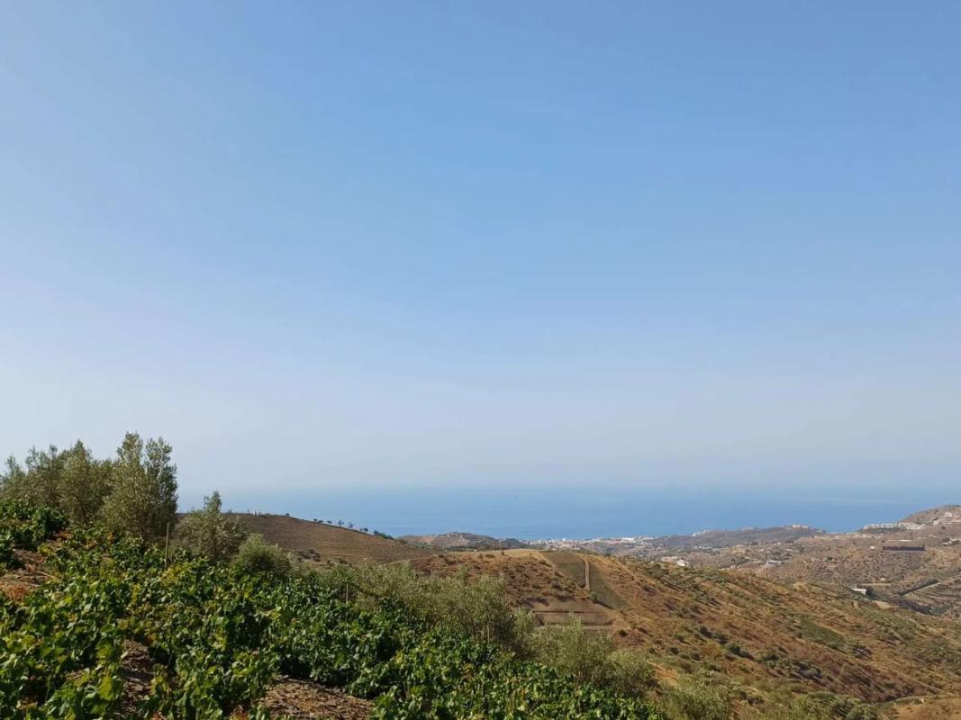 Land for sale in Moclinejo, Malaga photo 3