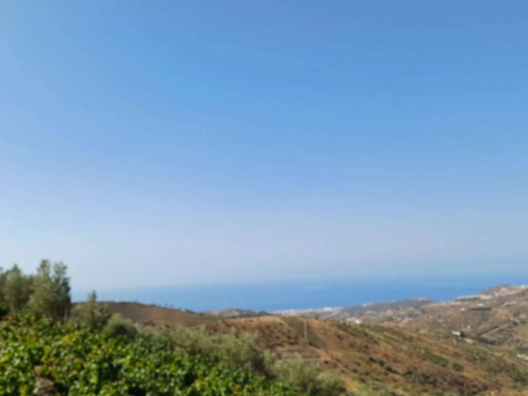 Land for sale in Moclinejo, Malaga photo 4
