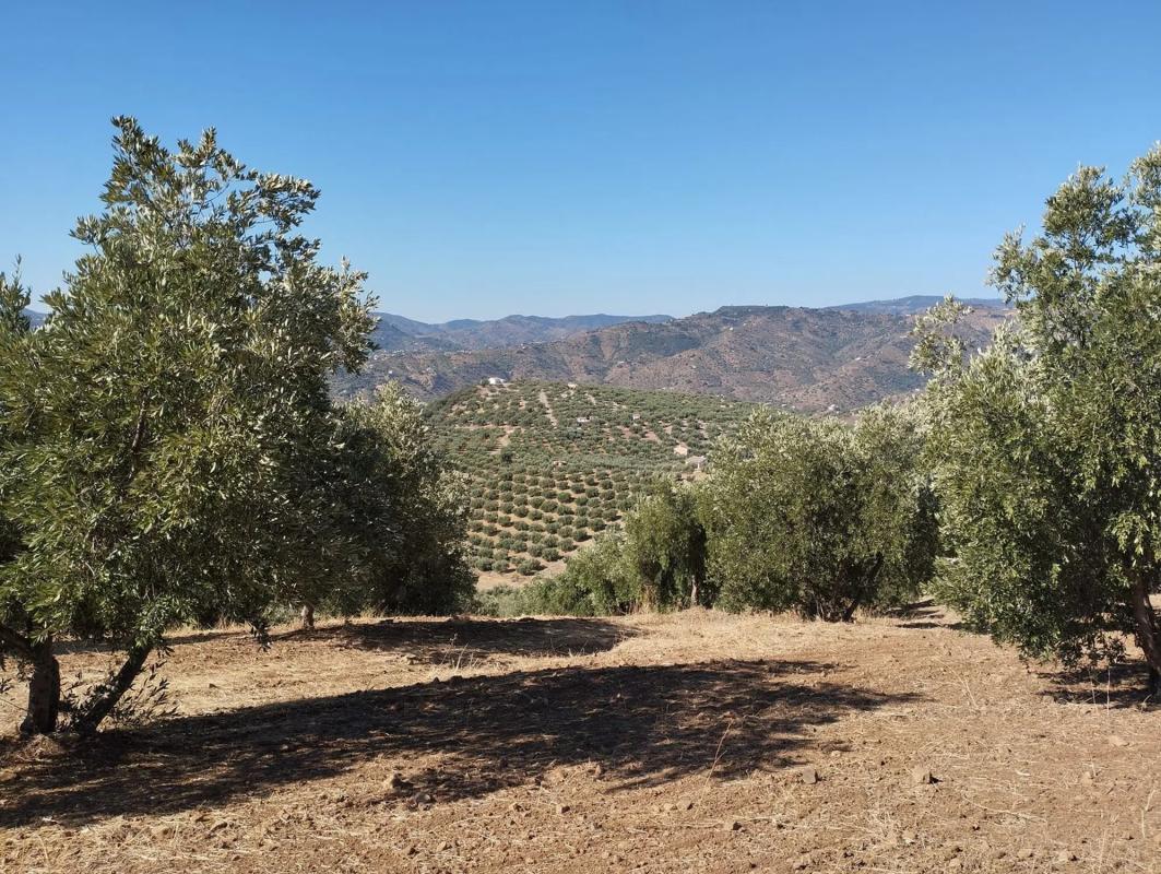 Działka na sprzedaż w Viñuela, Malaga photo 1