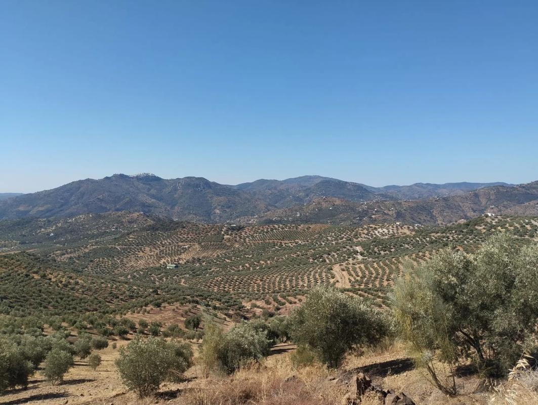 Działka na sprzedaż w Viñuela, Malaga photo 2