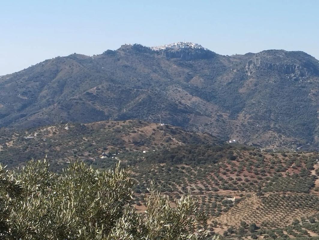 Działka na sprzedaż w Viñuela, Malaga photo 3