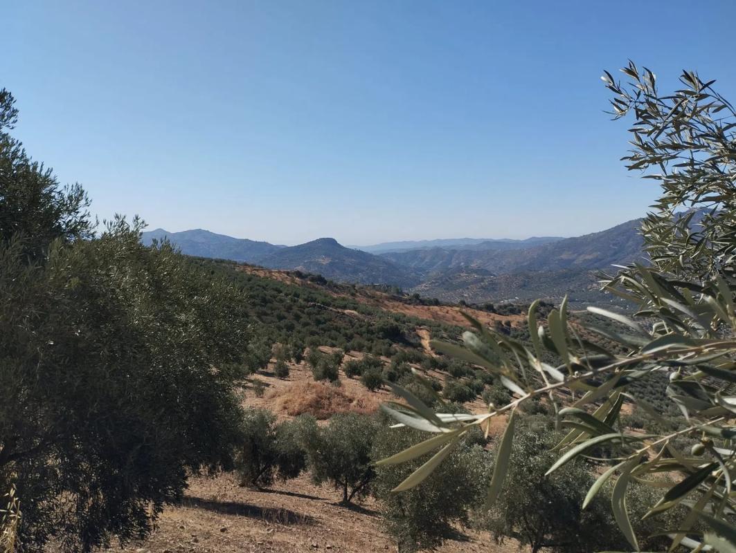 Działka na sprzedaż w Viñuela, Malaga photo 4