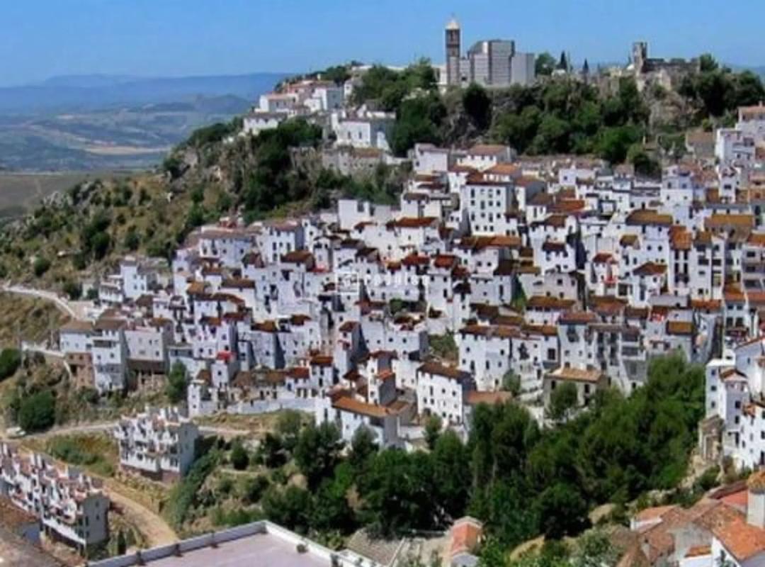 Land for sale in Ardales, Malaga photo 1