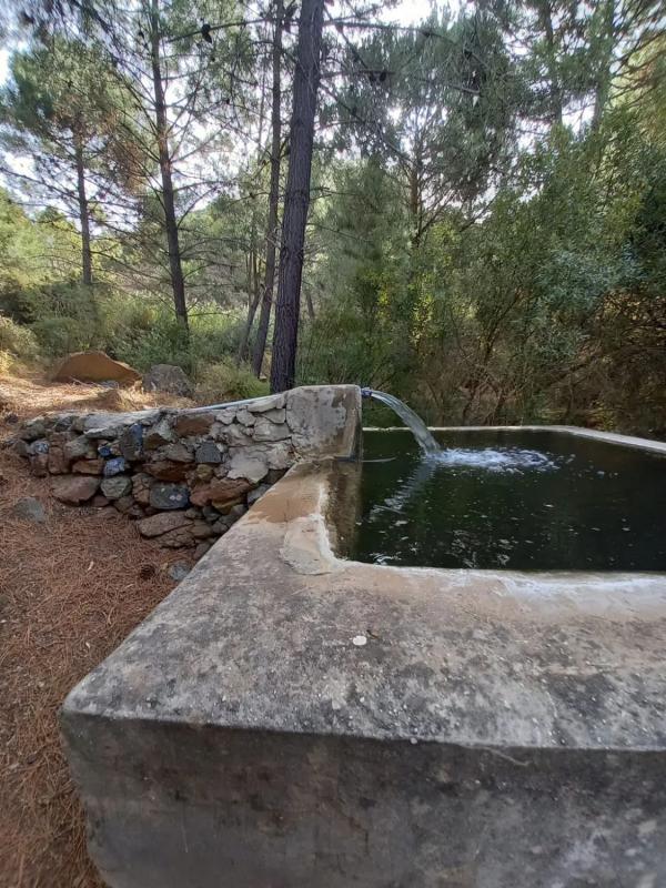 Land for sale in Ardales, Malaga photo 2
