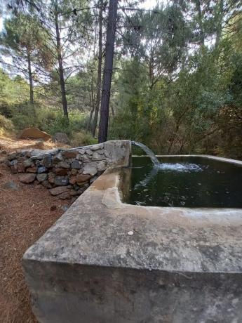 Terreno en arroyo de guaperos s/n photo 2