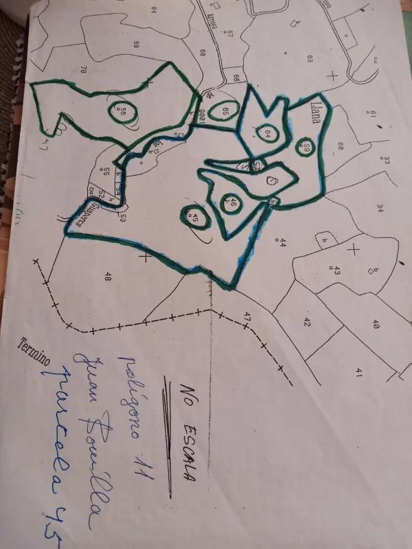 Land for sale in Ardales, Malaga photo 4