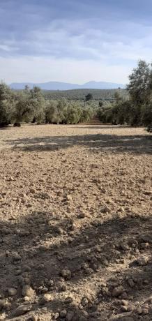 Terreno en via Málaga-Córdoba, 2 photo 1