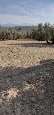 Terreno en via Málaga-Córdoba, 2 photo 3