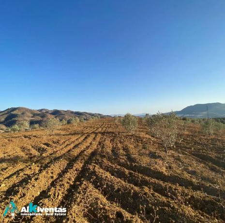 Terreno en las lomas photo 1