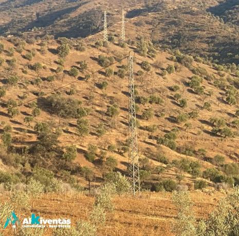 Terreno en las lomas photo 2