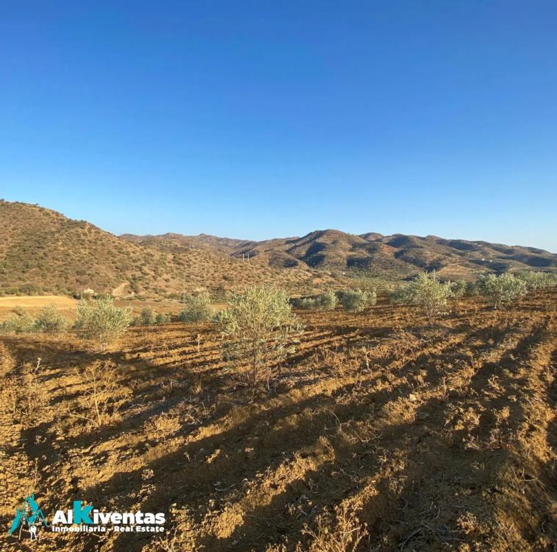 Land for sale in Alora, Malaga photo 4