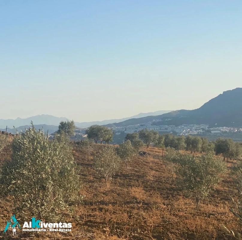 Land for sale in Alora, Malaga photo 5