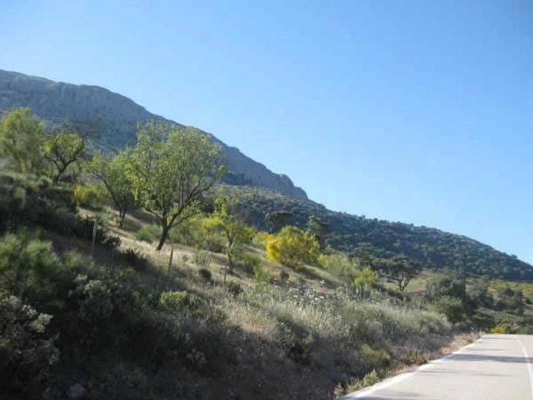 Terreno en venta en Alfarnatejo, Malaga photo 2