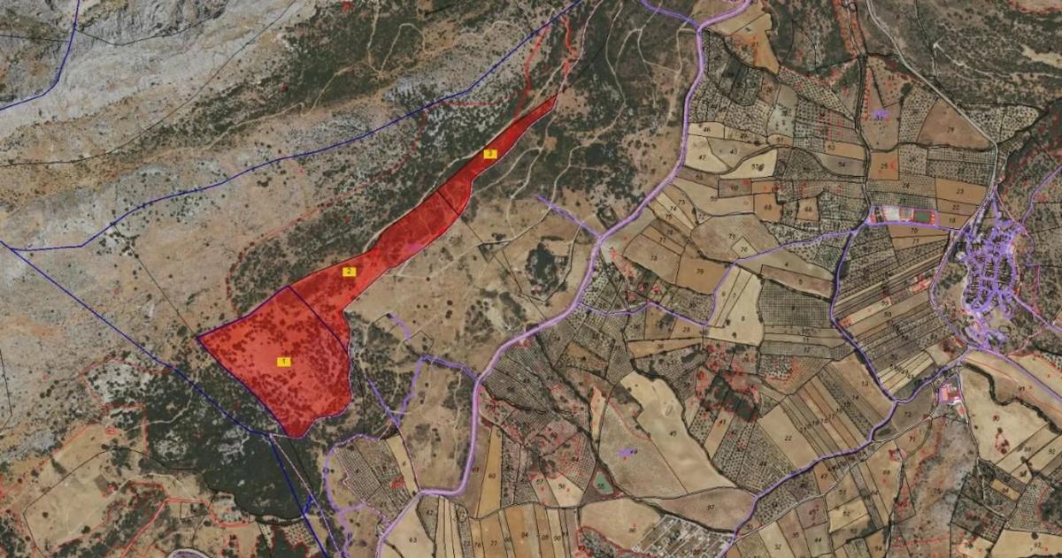 Terreno en venta en Alfarnatejo, Malaga photo 3