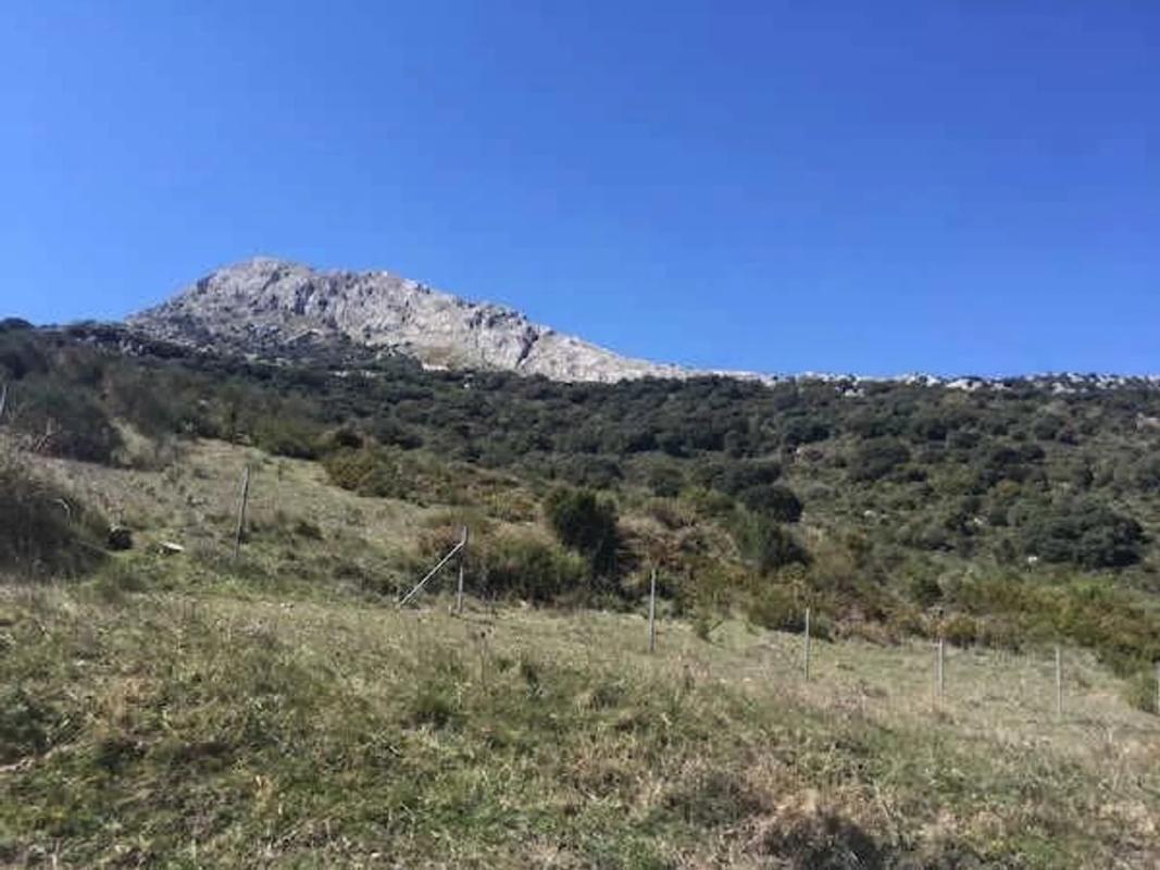 Terreno en venta en Alfarnatejo, Malaga photo 4