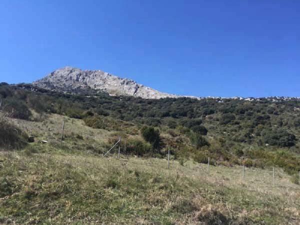 Terreno en Sierra Caramolo photo 4