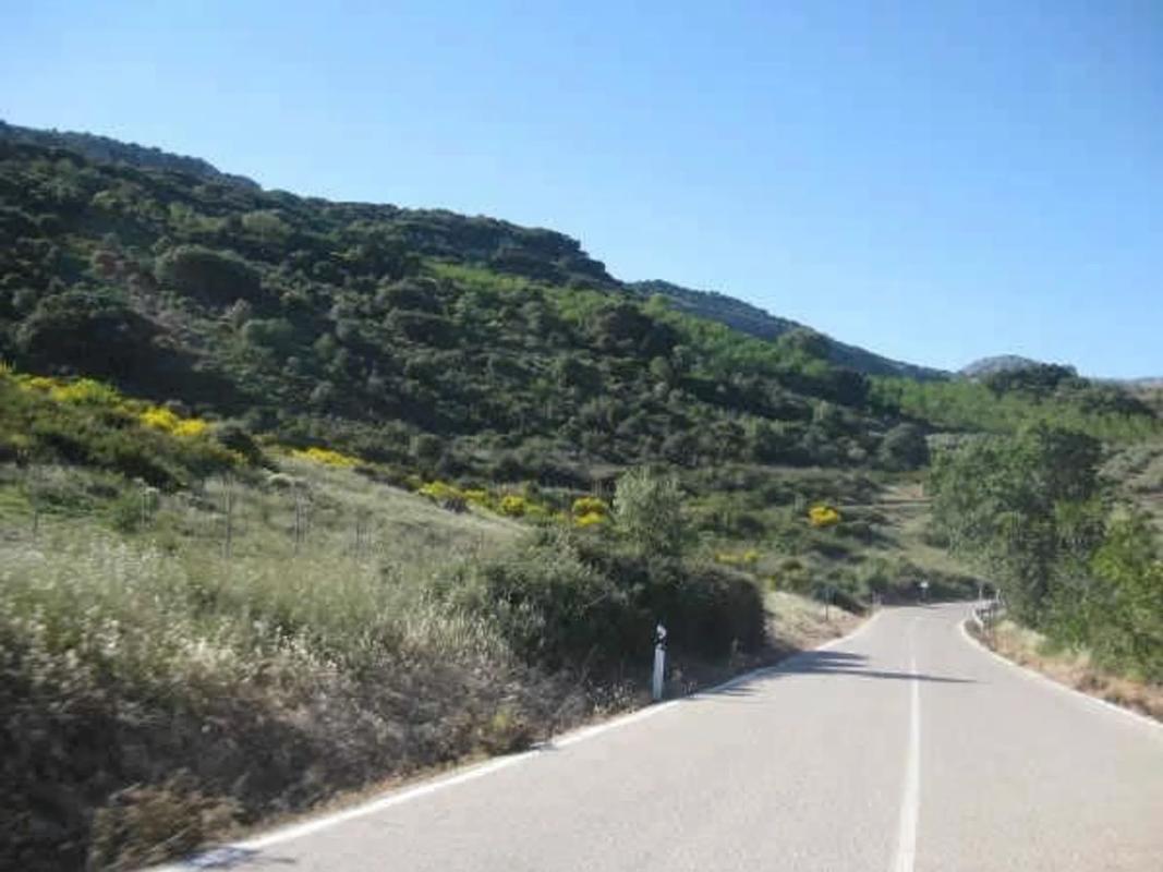 Terreno en venta en Alfarnatejo, Malaga photo 5