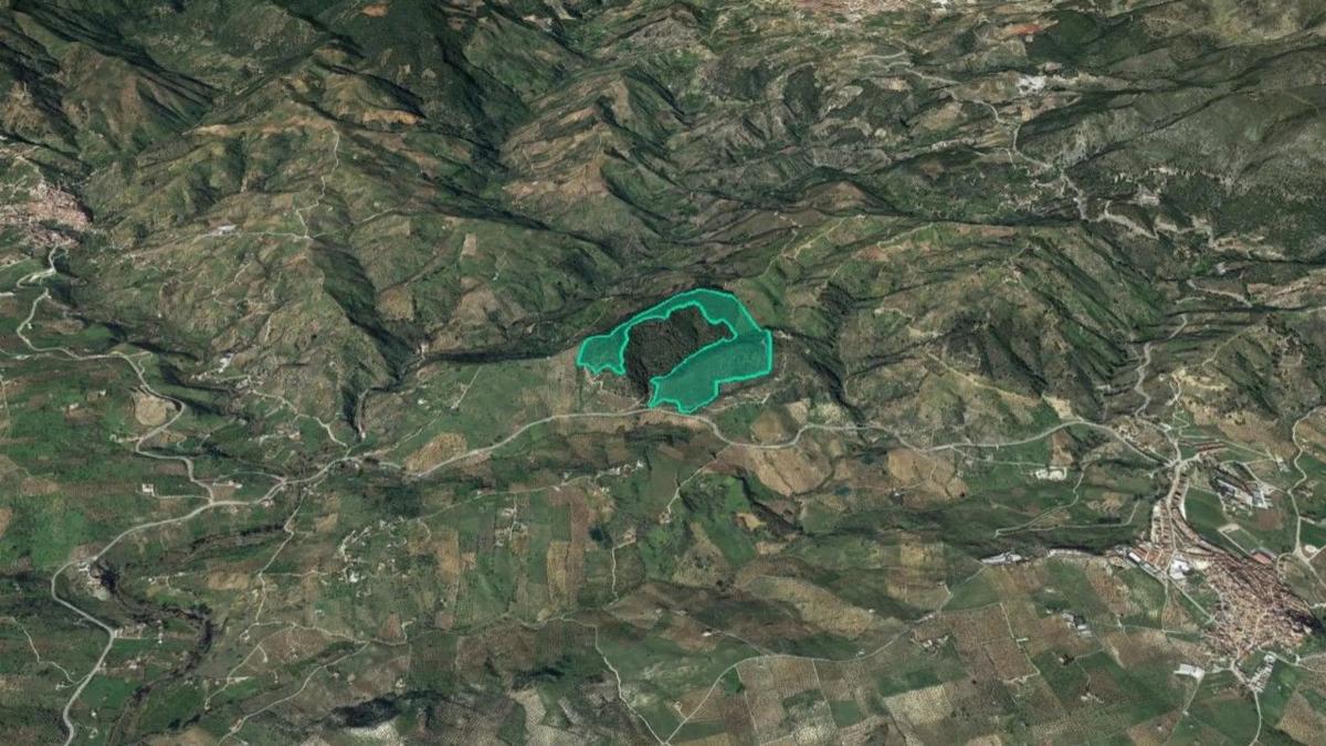 Land for sale in Tolox, Malaga photo 3