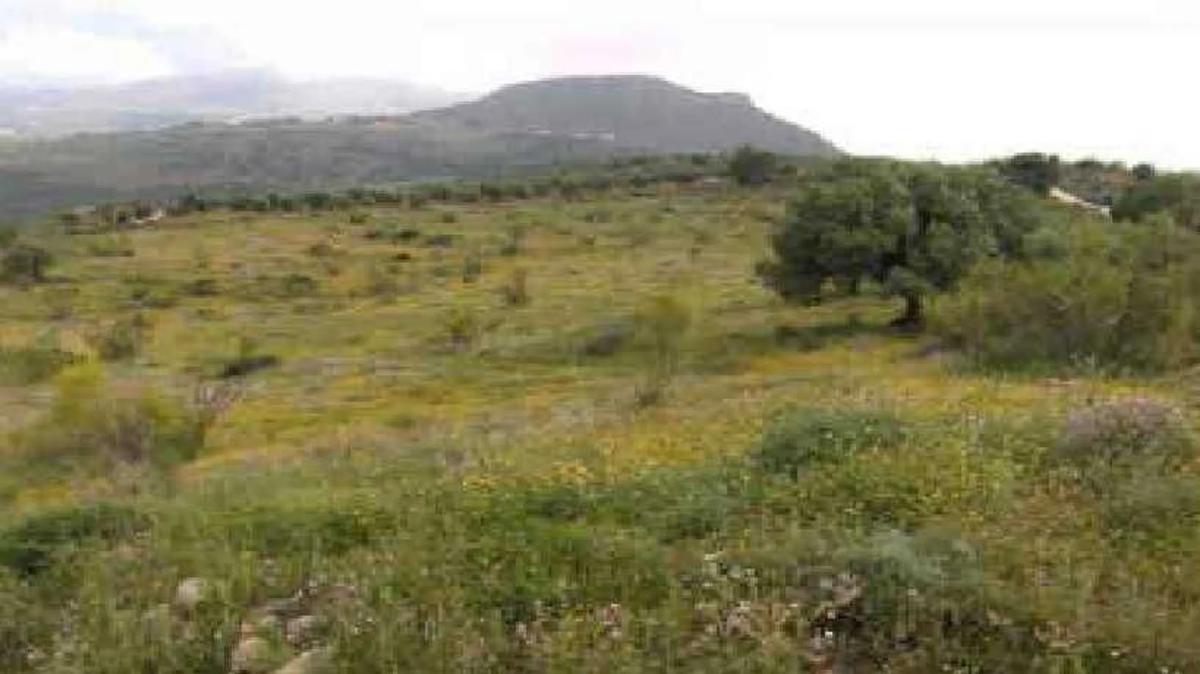 Terreno en venta en Viñuela, Malaga photo 2