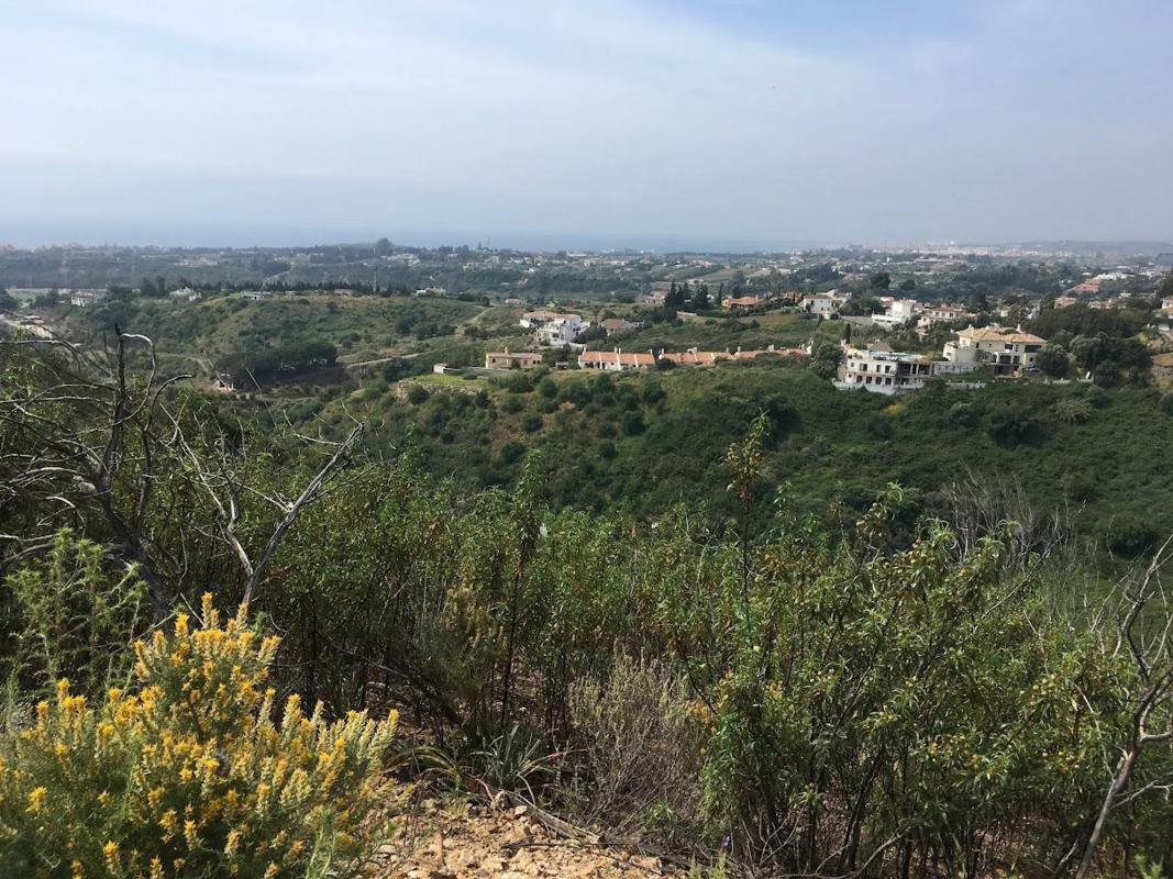 Terreno en venta en Estepona, Malaga photo 2