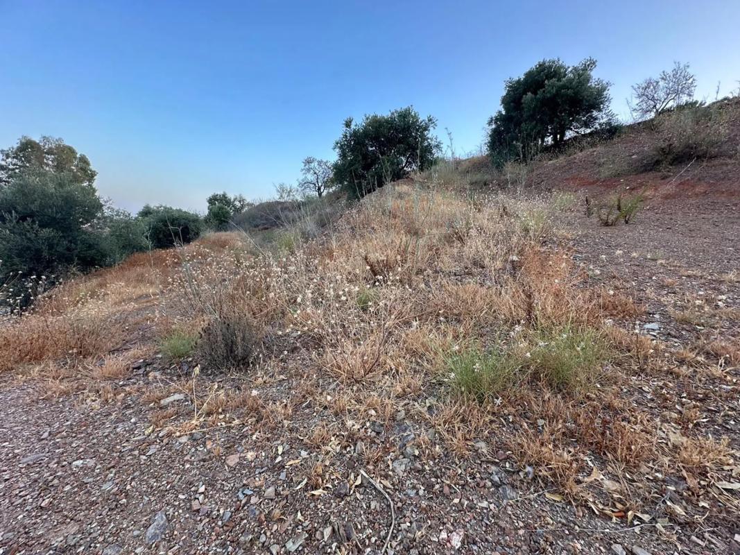 Terreno en venta en Mijas, Malaga photo 3