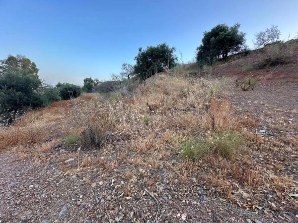 Terreno en Valtocado - La Alquería - La Atalaya photo 3