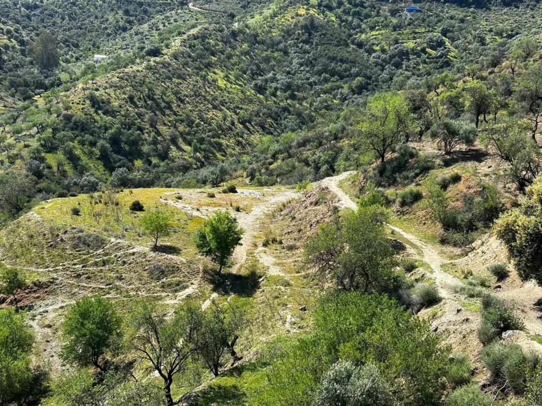 Działka na sprzedaż w Guaro, Malaga photo 3