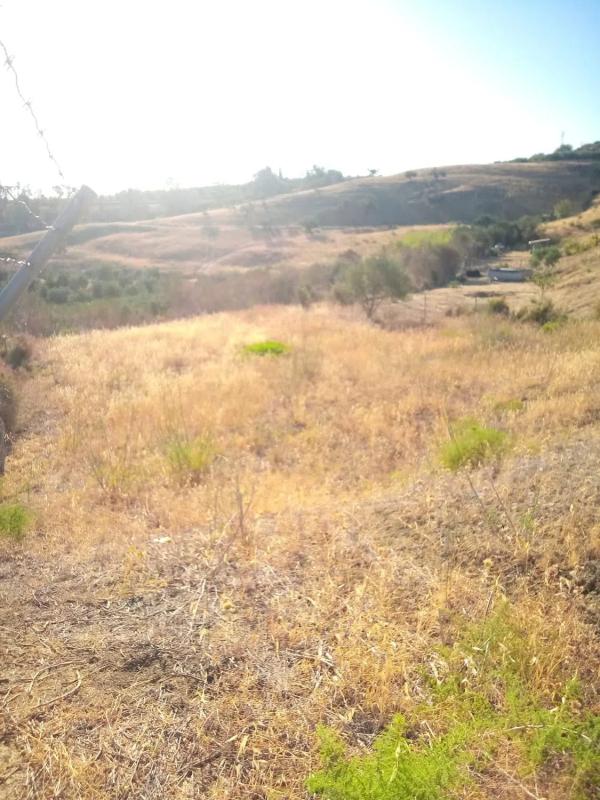 Terreno en venta en Coin, Malaga photo 1