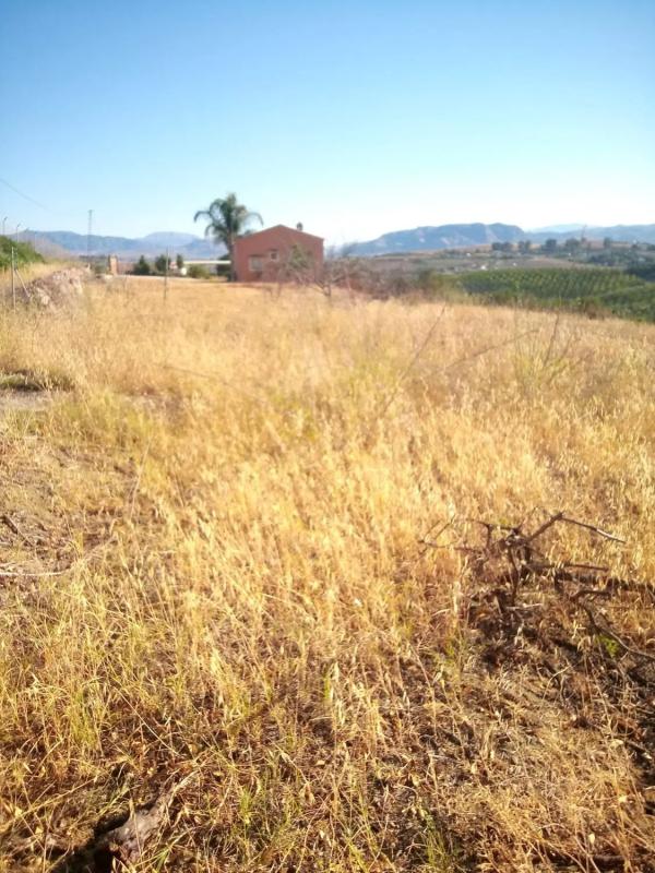 Terreno en venta en Coin, Malaga photo 2