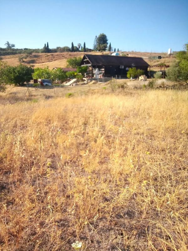 Terreno en venta en Coin, Malaga photo 3