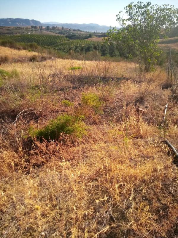 Terreno en venta en Coin, Malaga photo 5