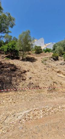 Terreno en calle Caracas, 4 photo 3