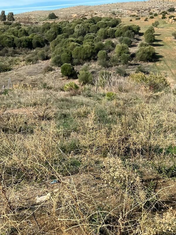 Działka na sprzedaż w Casares, Malaga photo 5