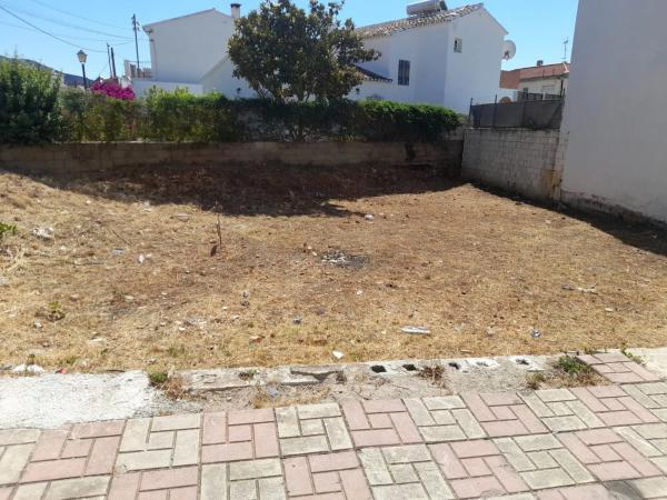 Terreno en calle Palo, 14 photo 2