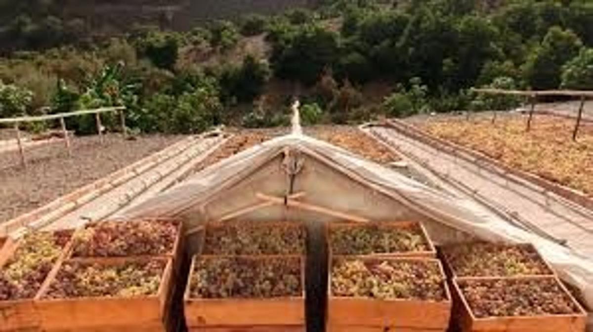 Terreno en venta en Cutar, Malaga photo 3