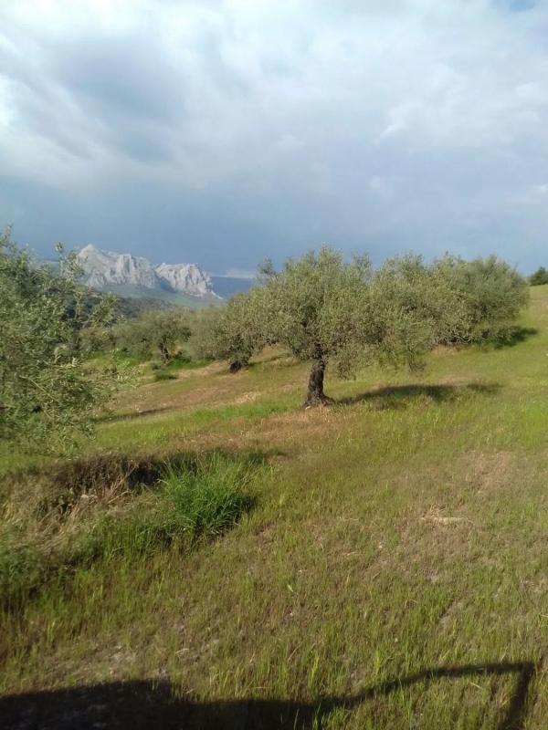 Terreno en venta en Colmenar, Malaga photo 4