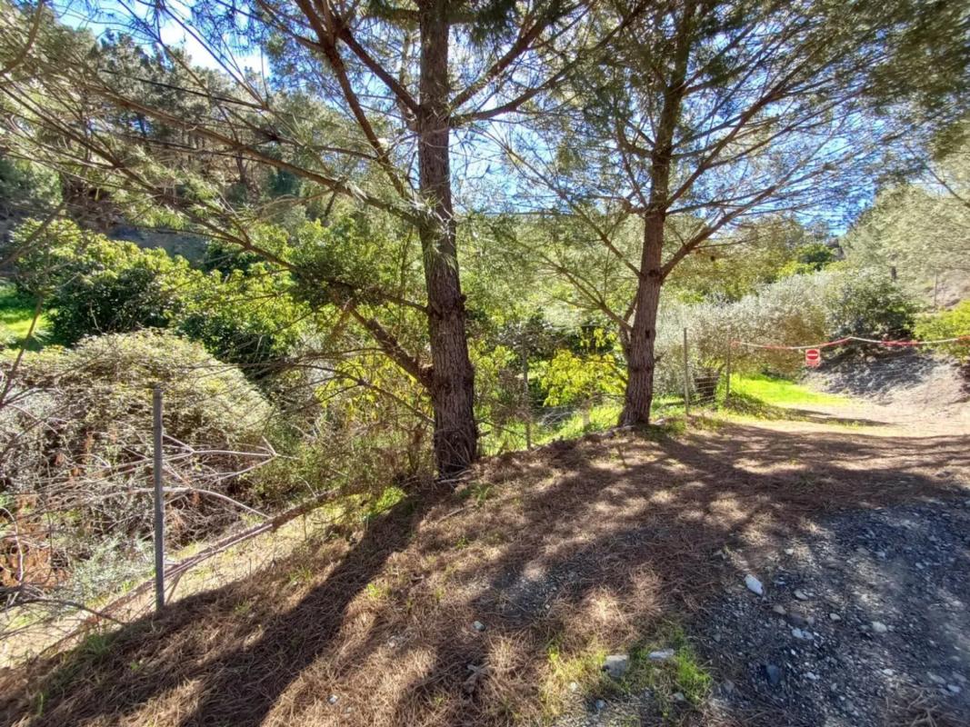 Land for sale in Monda, Malaga photo 4
