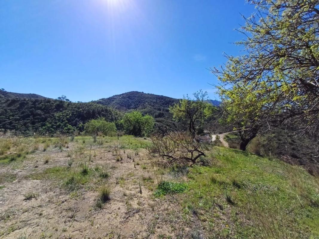 Land for sale in Monda, Malaga photo 5