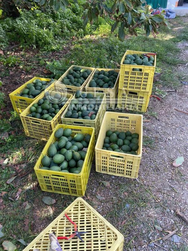 Участок земли на продажу в Алмайате Хунто, Малага photo 2