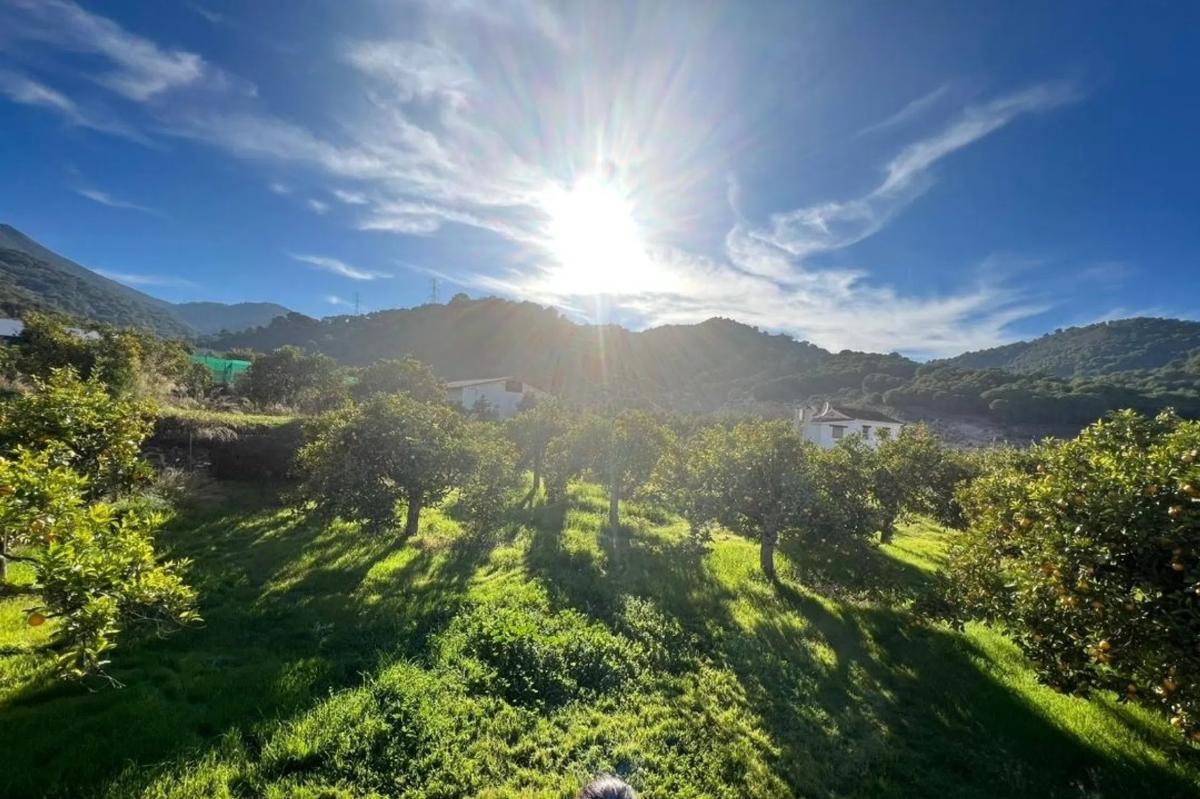 Land for sale in Monda, Malaga photo 1