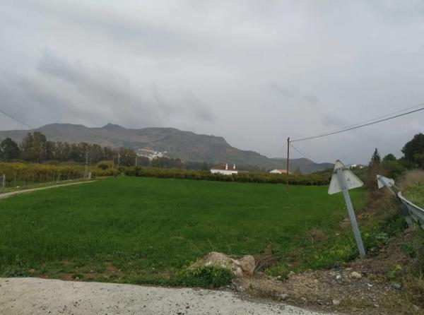 Terreno en de Gibralgaria s/n photo 1