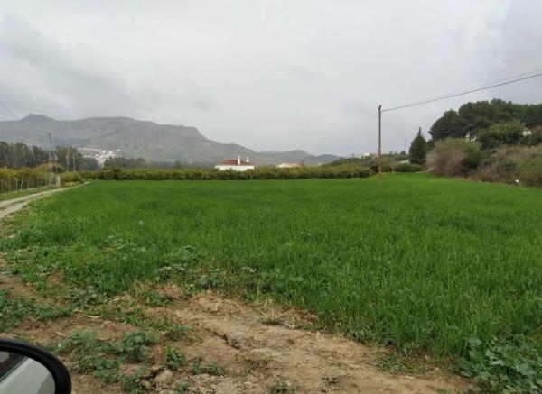 Terreno en de Gibralgaria s/n photo 3