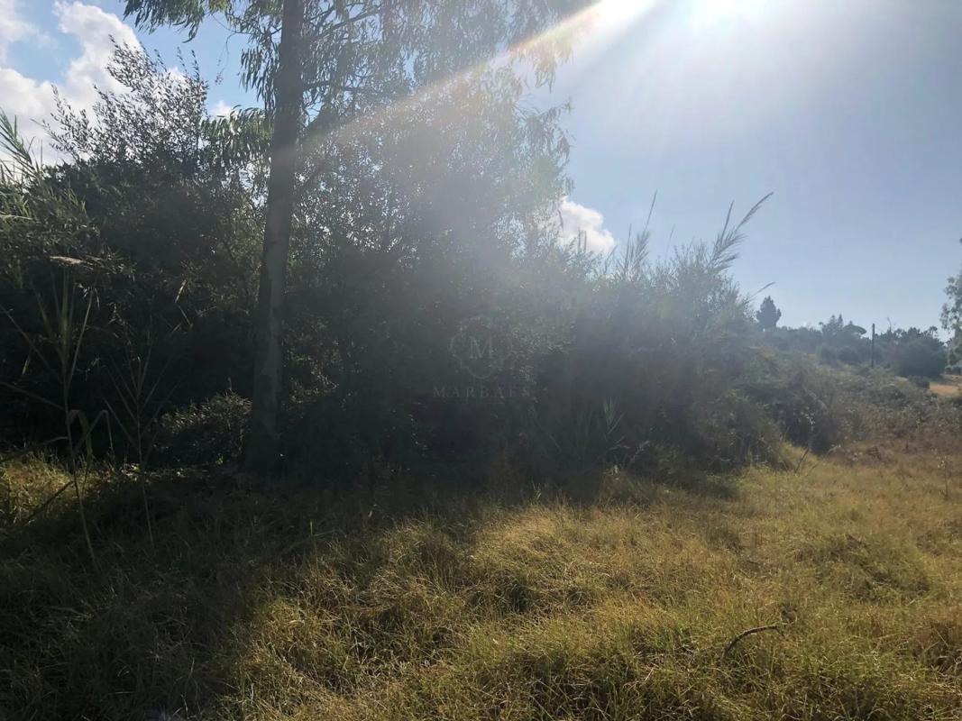 Terreno en venta en Marbella, Malaga photo 5