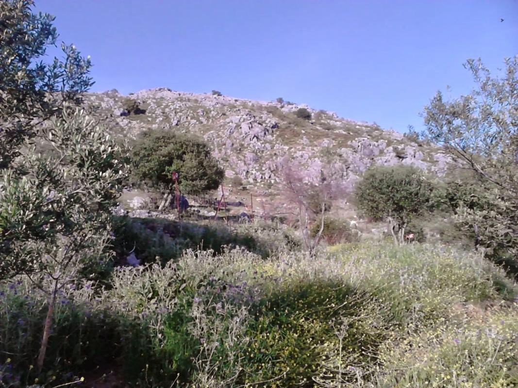 Land for sale in Cartajima, Malaga photo 2