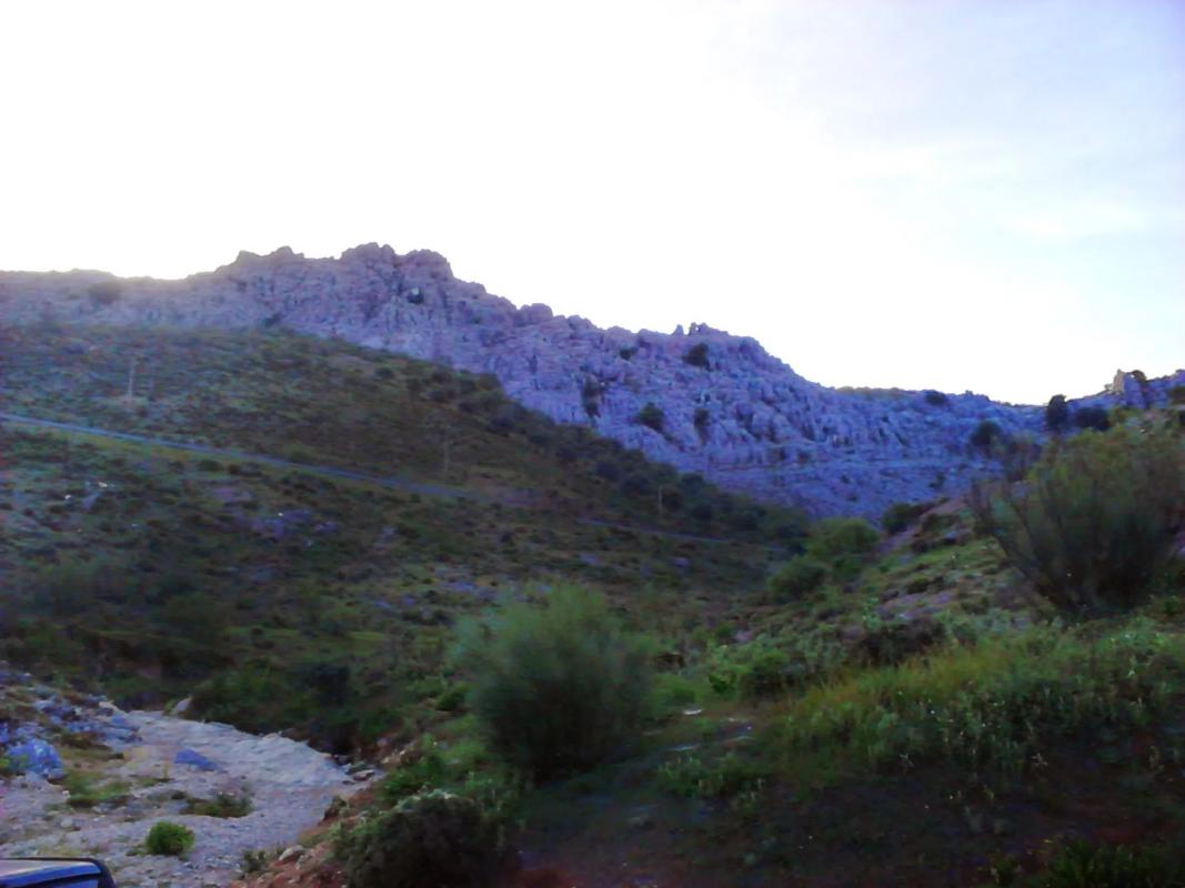 Land for sale in Cartajima, Malaga photo 3