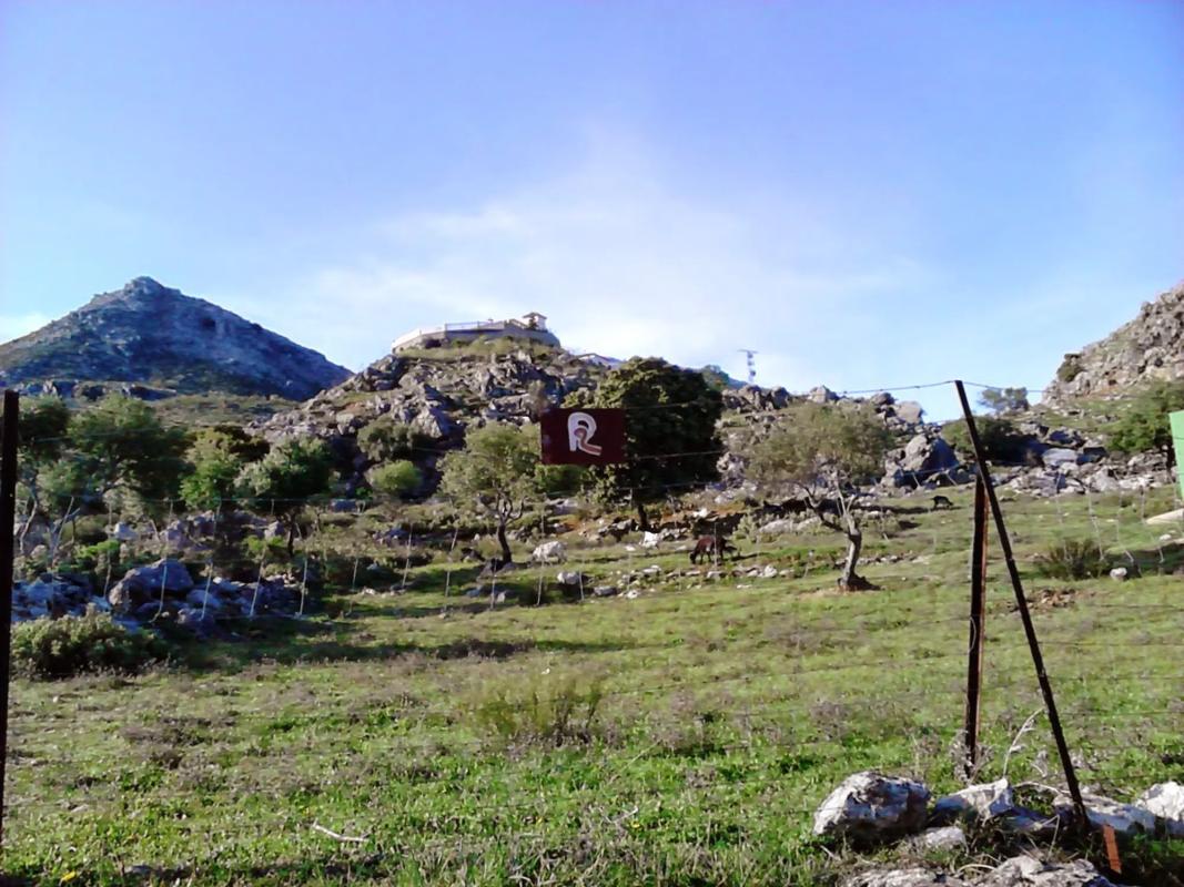 Land for sale in Cartajima, Malaga photo 4